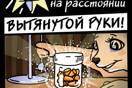 Победители определяются каждый